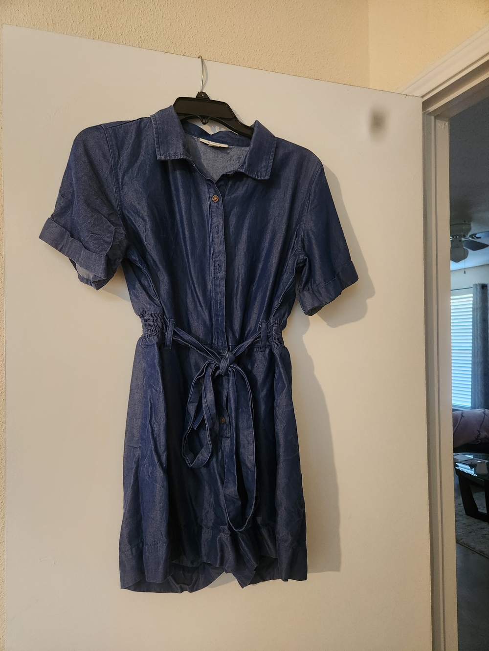 Casual Blue Button-Front Tie-Waist Shirt Dress